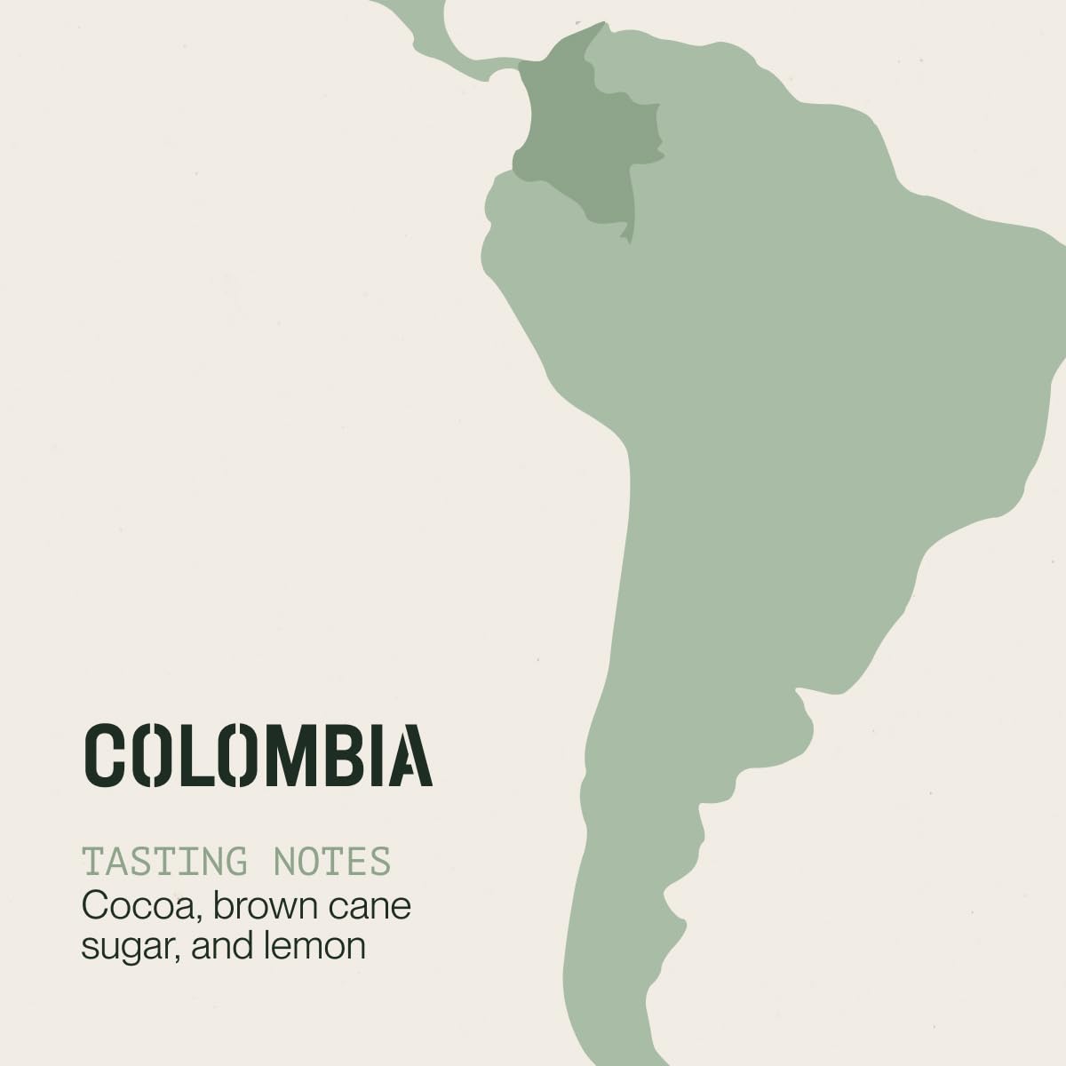 Incapto Medium Roast Jungle Blend Whole Bean Coffee 500g | Natural Rich Aroma and Flavor | Blend of Origins – Guatemala, Brazil, and Peru | 100% Arabica | Specialty Coffee 80 SCA Points