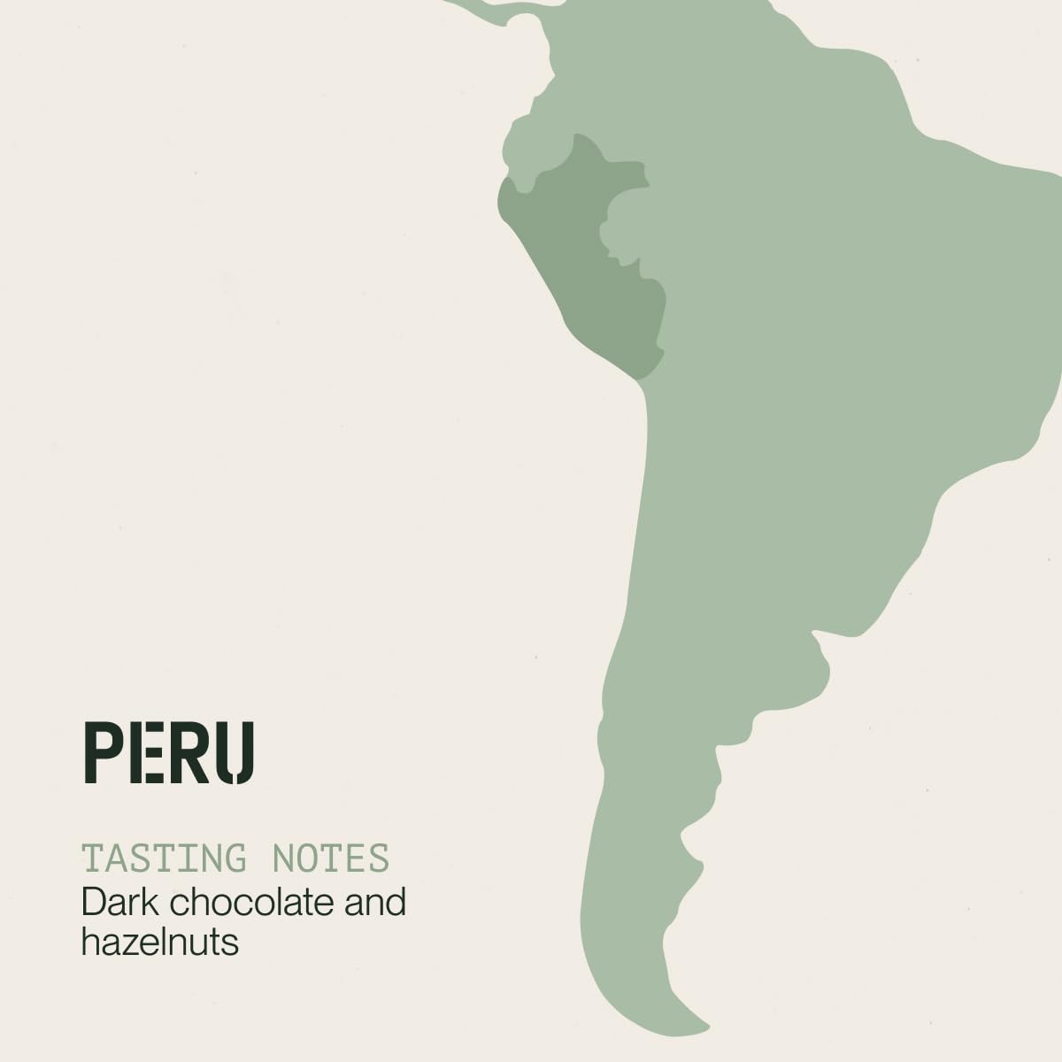 Incapto Medium Roast Jungle Blend Whole Bean Coffee 500g | Natural Rich Aroma and Flavor | Blend of Origins – Guatemala, Brazil, and Peru | 100% Arabica | Specialty Coffee 80 SCA Points