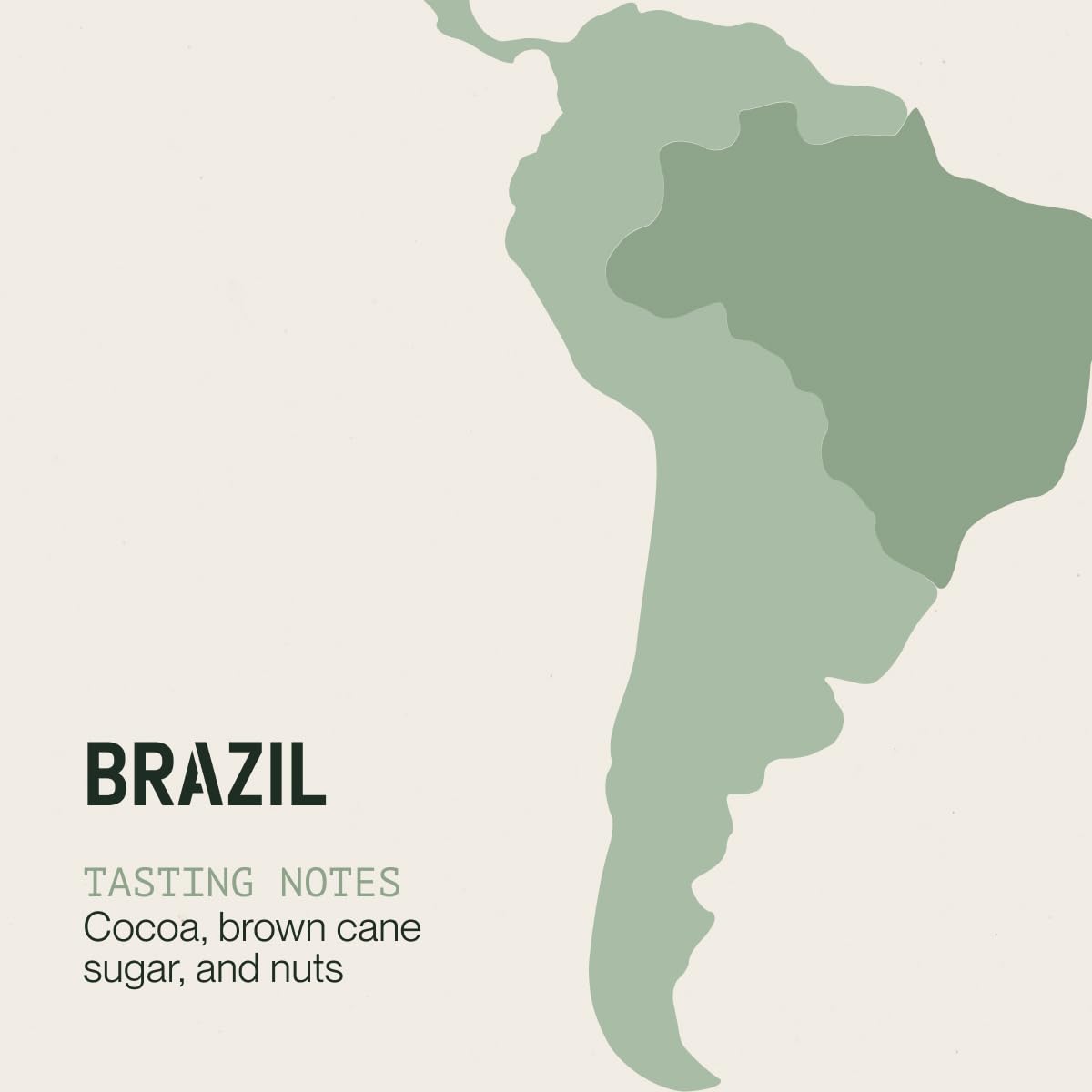 Incapto Medium Roast Jungle Blend Whole Bean Coffee 500g | Natural Rich Aroma and Flavor | Blend of Origins – Guatemala, Brazil, and Peru | 100% Arabica | Specialty Coffee 80 SCA Points