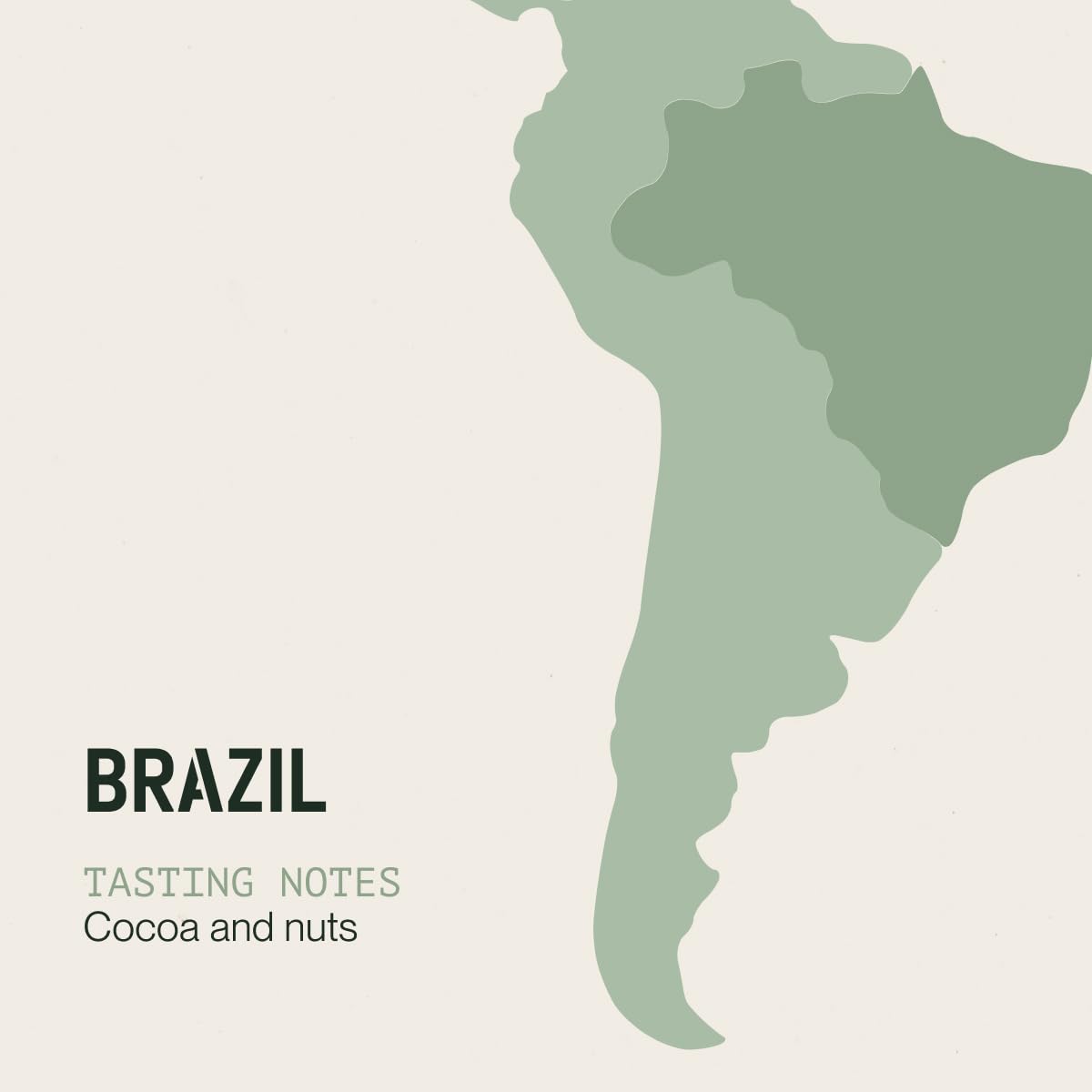 Incapto Medium Roast Jungle Blend Whole Bean Coffee 500g | Natural Rich Aroma and Flavor | Blend of Origins – Guatemala, Brazil, and Peru | 100% Arabica | Specialty Coffee 80 SCA Points