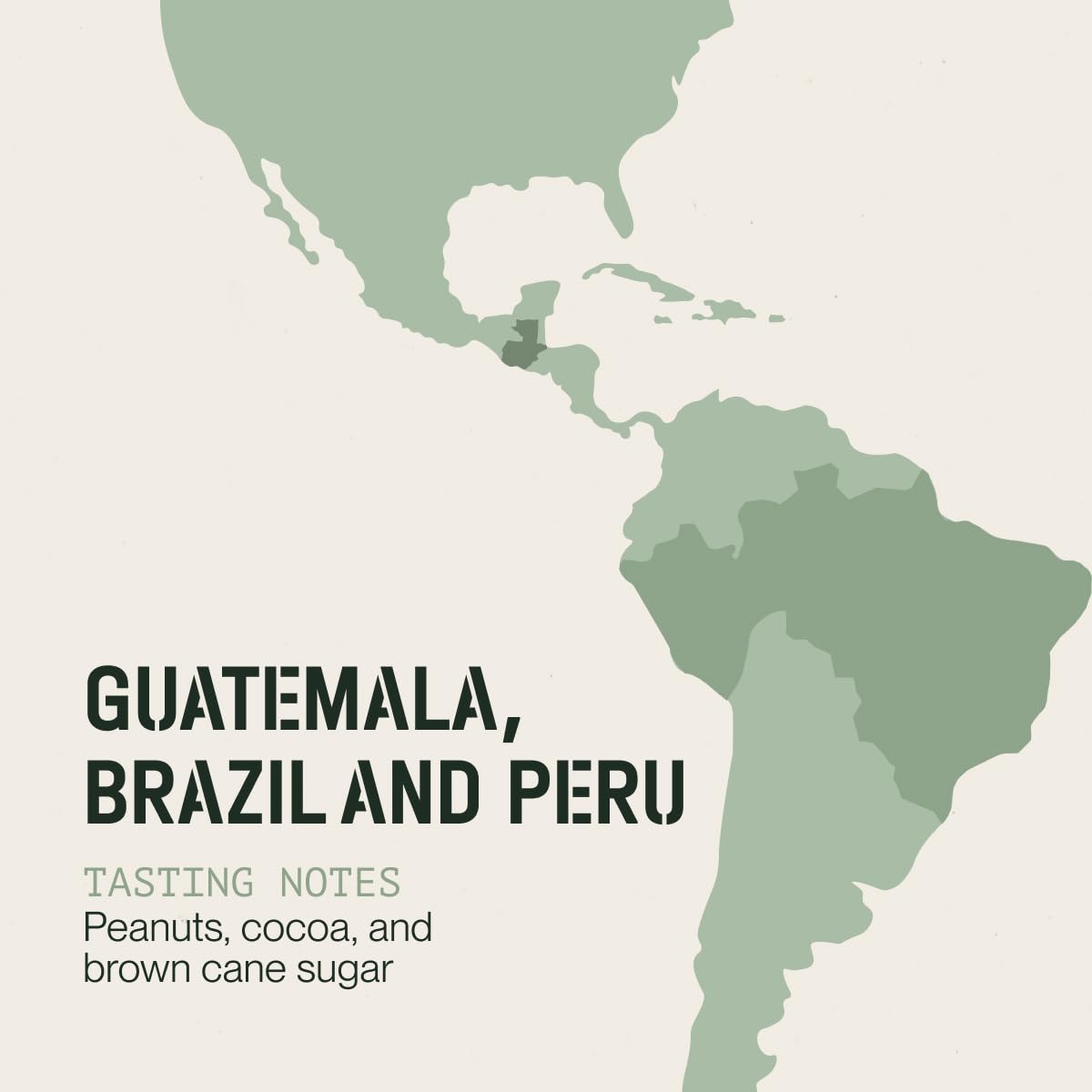 Incapto Medium Roast Jungle Blend Whole Bean Coffee 500g | Natural Rich Aroma and Flavor | Blend of Origins – Guatemala, Brazil, and Peru | 100% Arabica | Specialty Coffee 80 SCA Points