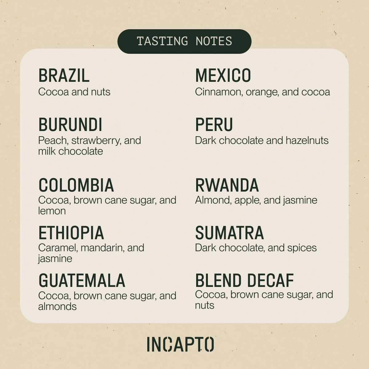 Incapto Medium Roast Jungle Blend Whole Bean Coffee 500g | Natural Rich Aroma and Flavor | Blend of Origins – Guatemala, Brazil, and Peru | 100% Arabica | Specialty Coffee 80 SCA Points