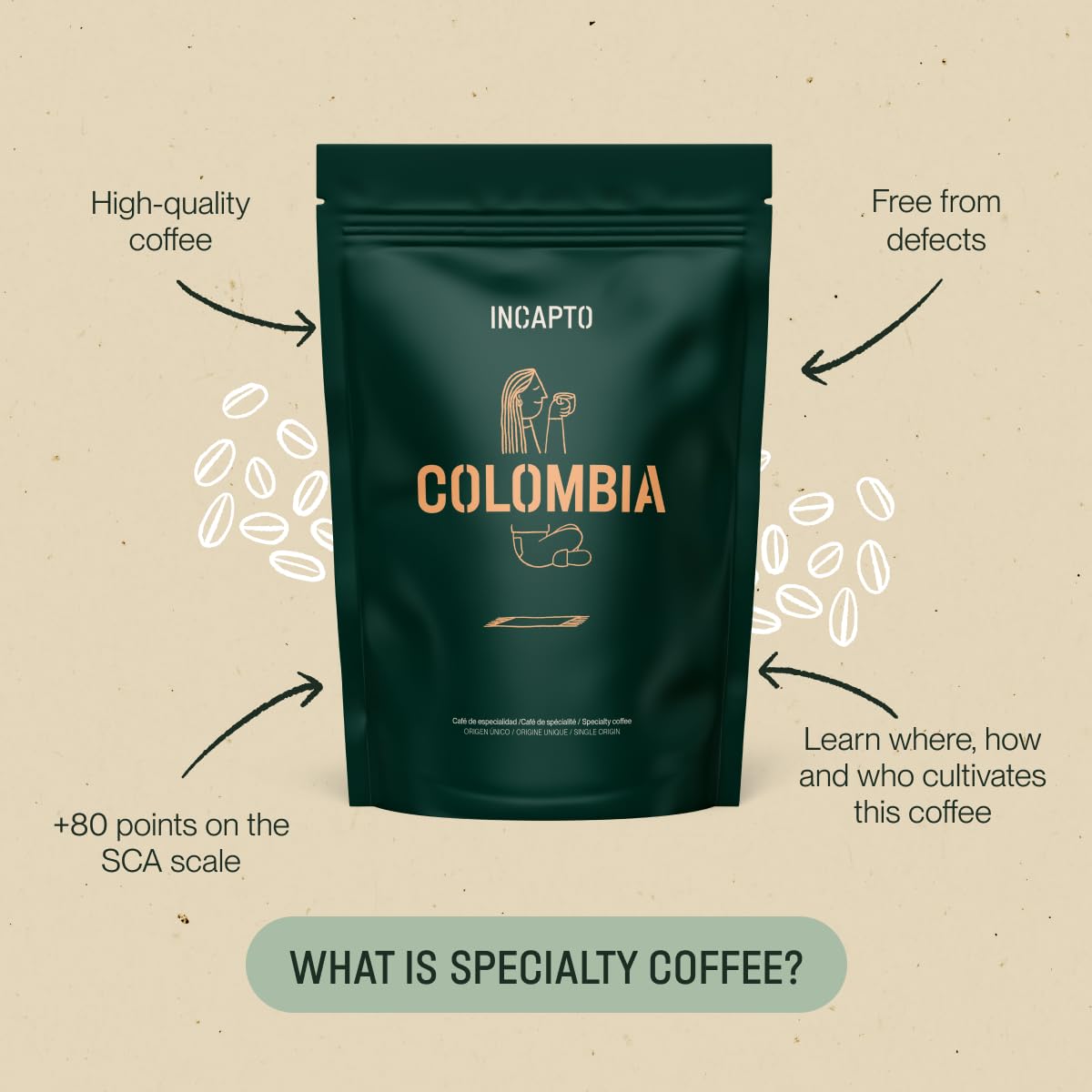 Incapto Medium Roast Jungle Blend Whole Bean Coffee 500g | Natural Rich Aroma and Flavor | Blend of Origins – Guatemala, Brazil, and Peru | 100% Arabica | Specialty Coffee 80 SCA Points