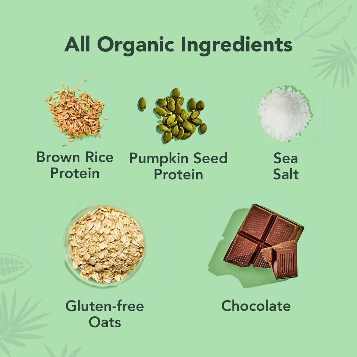 ALOHA Organic Plant Based Protein Bars |Peanut Butter Chocolate Chip | 1.98 Oz (Pack of 12) | Vegan, Low Sugar, Gluten Free, Paleo, Low Carb, Non-GMO, Stevia Free, Soy Free, No Sugar Alcohols