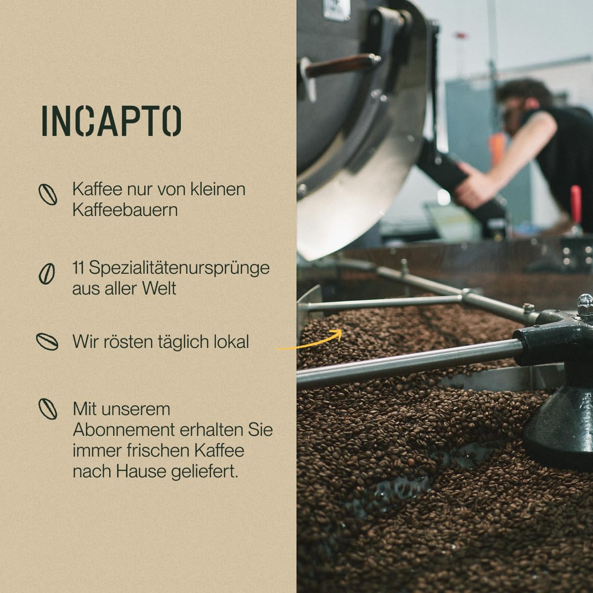 Incapto Medium Roast Jungle Blend Whole Bean Coffee 500g | Natural Rich Aroma and Flavor | Blend of Origins – Guatemala, Brazil, and Peru | 100% Arabica | Specialty Coffee 80 SCA Points