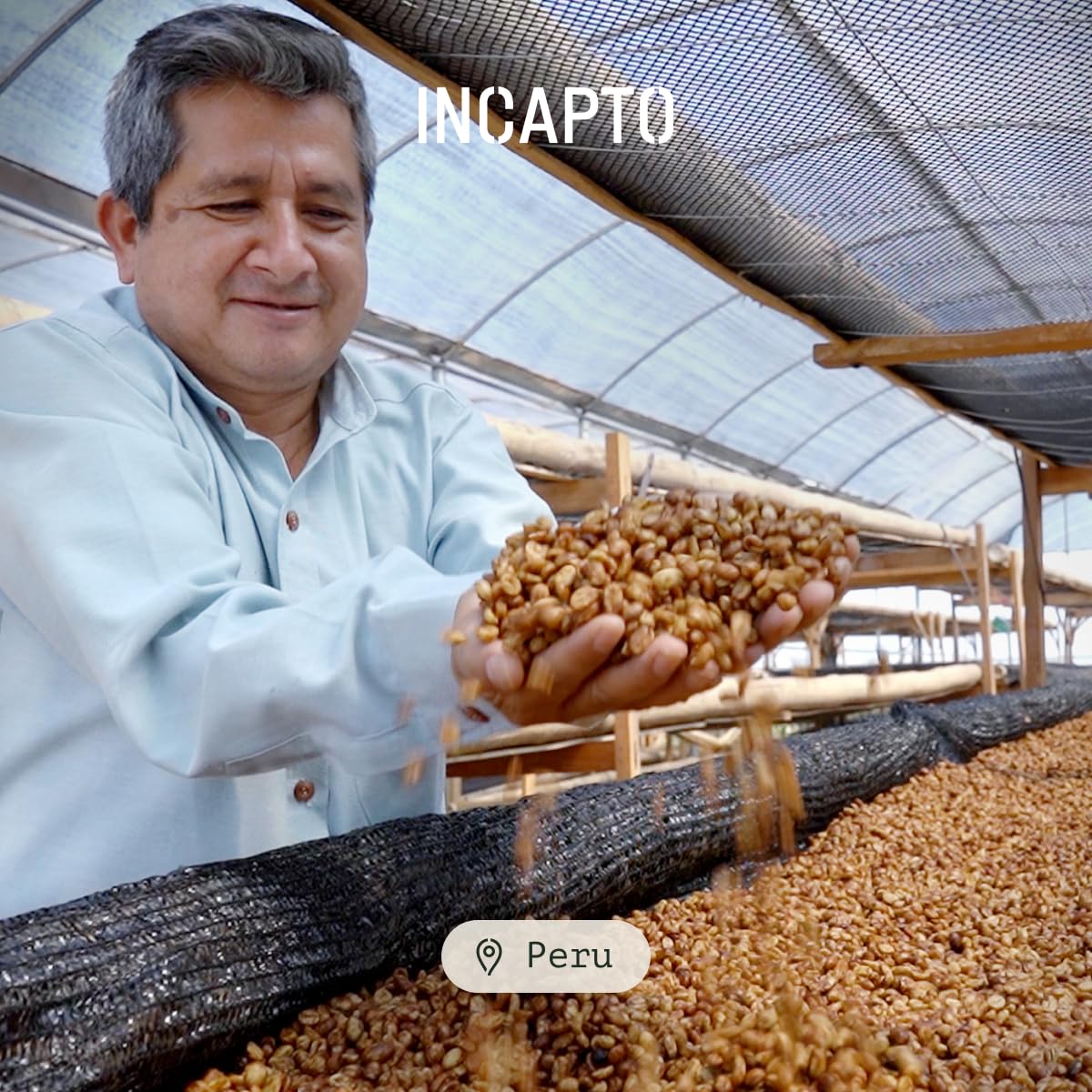 Incapto Medium Roast Jungle Blend Whole Bean Coffee 500g | Natural Rich Aroma and Flavor | Blend of Origins – Guatemala, Brazil, and Peru | 100% Arabica | Specialty Coffee 80 SCA Points