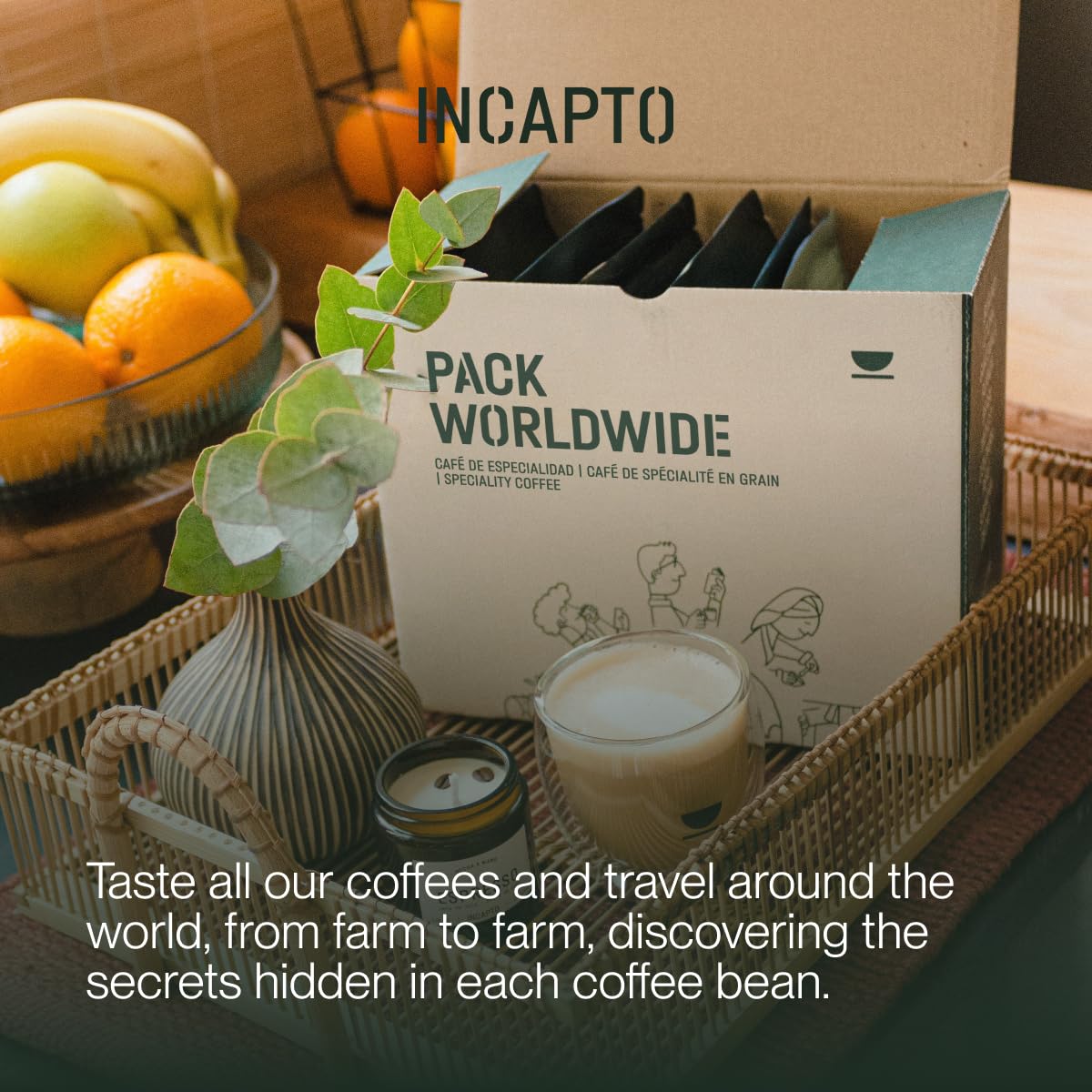 Incapto Medium Roast Jungle Blend Whole Bean Coffee 500g | Natural Rich Aroma and Flavor | Blend of Origins – Guatemala, Brazil, and Peru | 100% Arabica | Specialty Coffee 80 SCA Points