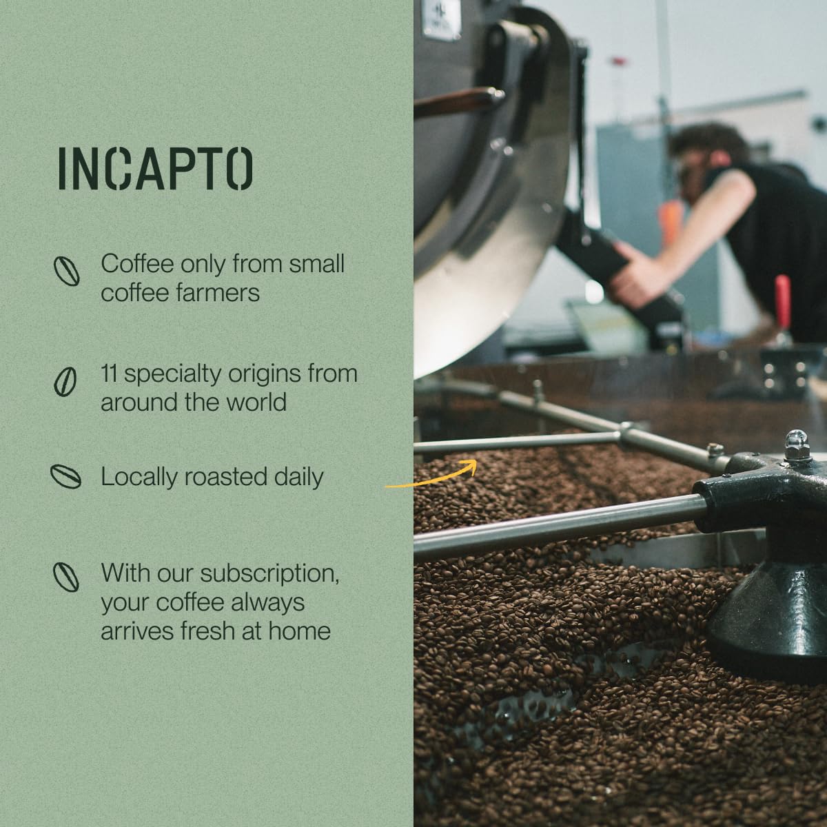 Incapto Medium Roast Jungle Blend Whole Bean Coffee 500g | Natural Rich Aroma and Flavor | Blend of Origins – Guatemala, Brazil, and Peru | 100% Arabica | Specialty Coffee 80 SCA Points