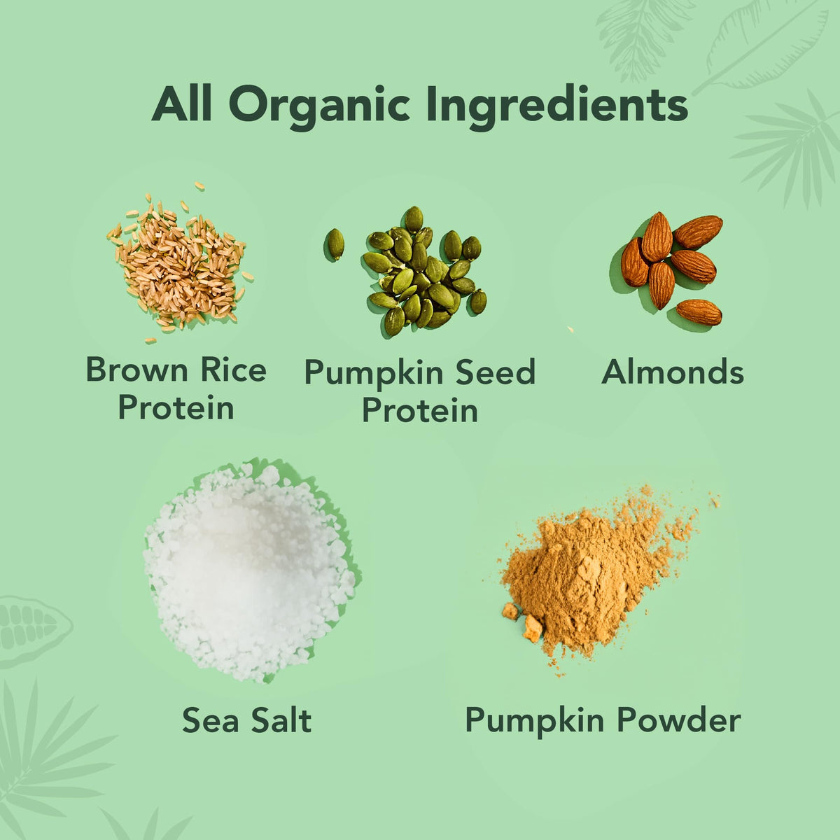 ALOHA Organic Plant Based Protein Bars |Peanut Butter Chocolate Chip | 1.98 Oz (Pack of 12) | Vegan, Low Sugar, Gluten Free, Paleo, Low Carb, Non-GMO, Stevia Free, Soy Free, No Sugar Alcohols