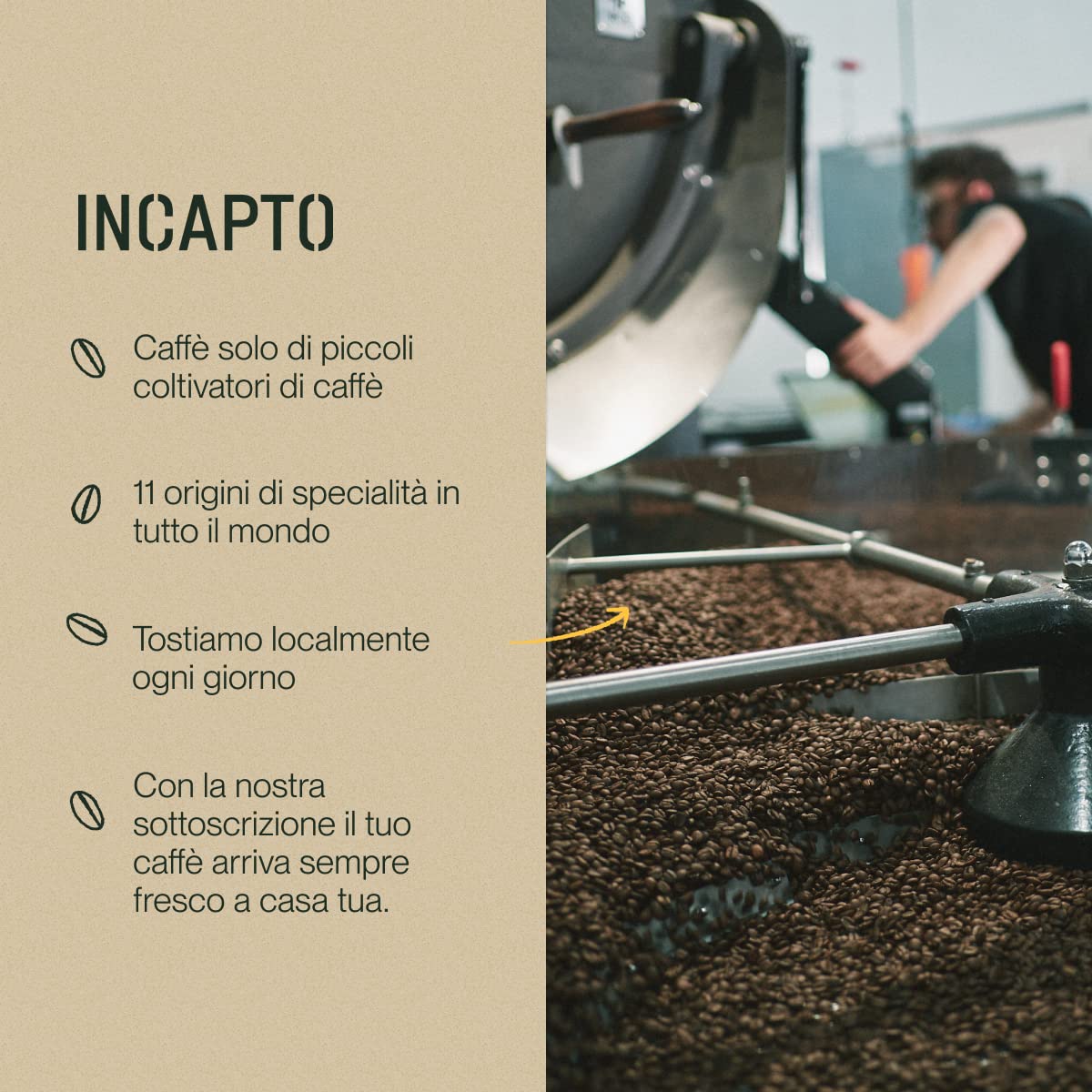 Incapto Medium Roast Jungle Blend Whole Bean Coffee 500g | Natural Rich Aroma and Flavor | Blend of Origins – Guatemala, Brazil, and Peru | 100% Arabica | Specialty Coffee 80 SCA Points