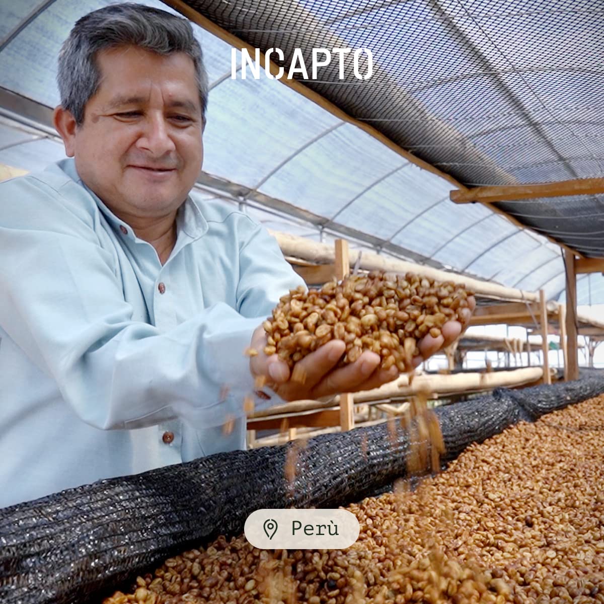 Incapto Medium Roast Jungle Blend Whole Bean Coffee 500g | Natural Rich Aroma and Flavor | Blend of Origins – Guatemala, Brazil, and Peru | 100% Arabica | Specialty Coffee 80 SCA Points