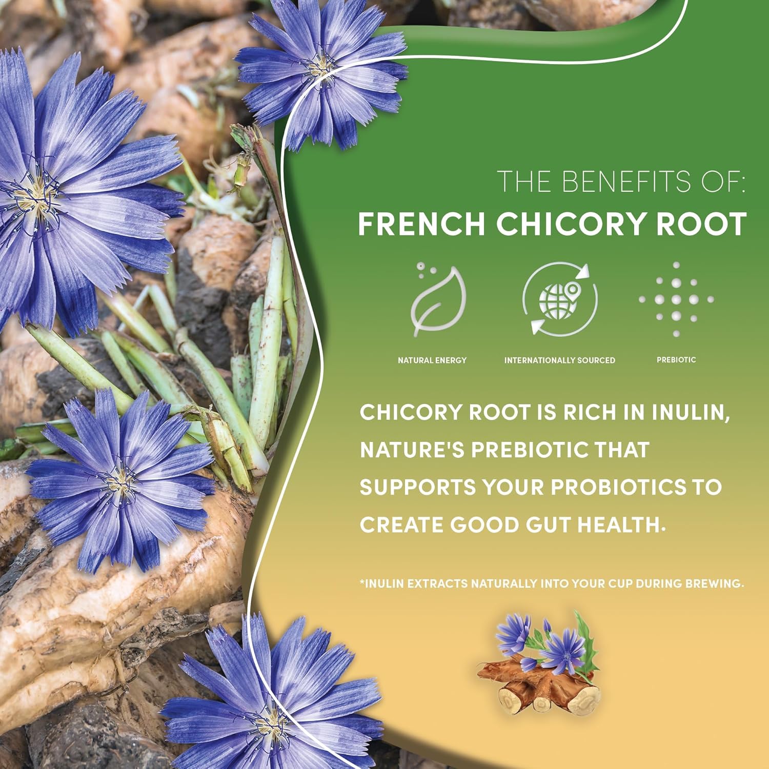 Teeccino French Roast Herbal Tea - Rich & Roasted Herbal Tea That’s Caffeine Free & Prebiotic for Natural Energy, Coffee Alternative, 25 Tea Bags