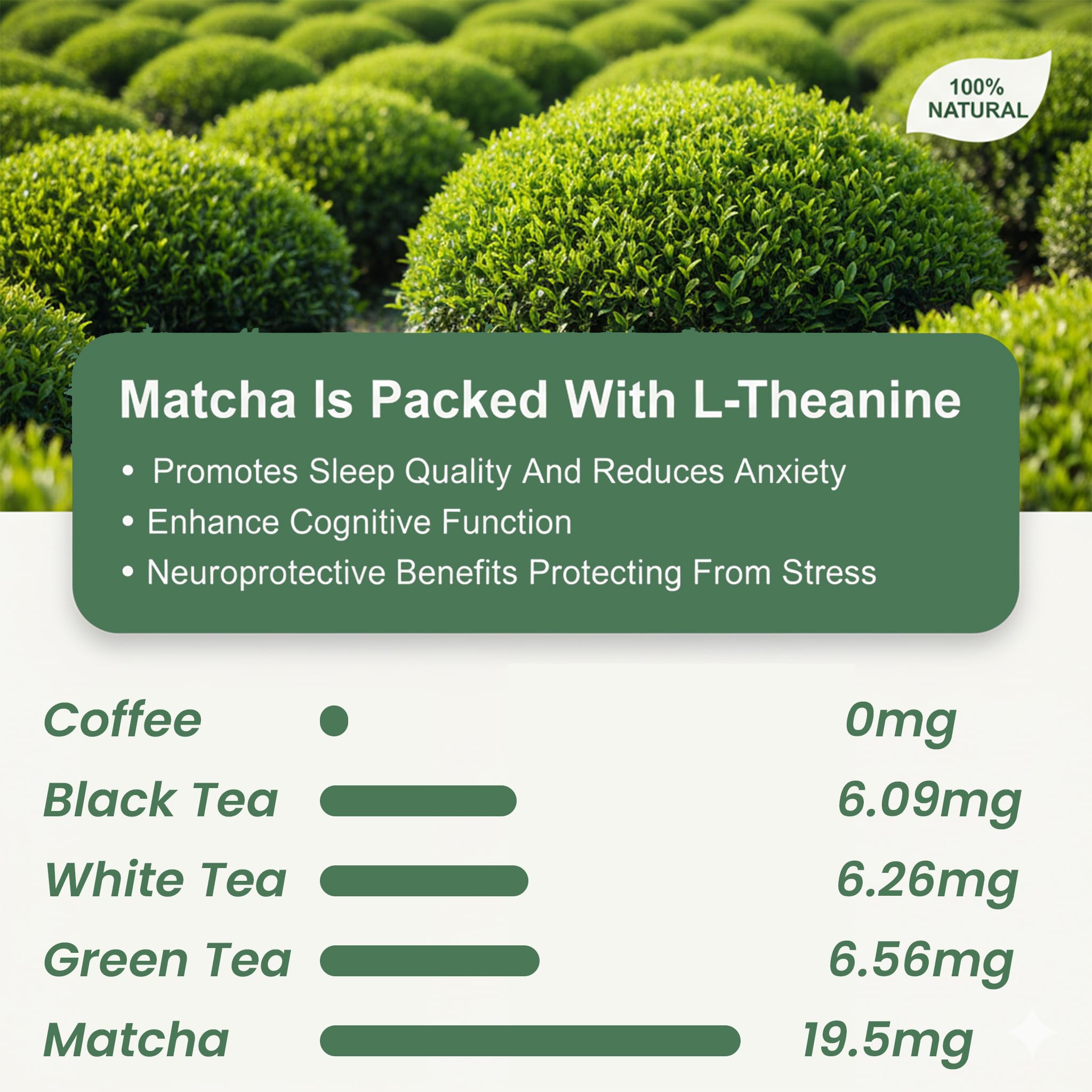 Matchaeco 2 x 50g [100g] Japanese Matcha Green Tea Powder |Authentic Stone Ground Ceremonial Grade From Japan | Natural Energy | Recyclable Jar | Vegan Baking Gift Ideas | Coffee Alternative