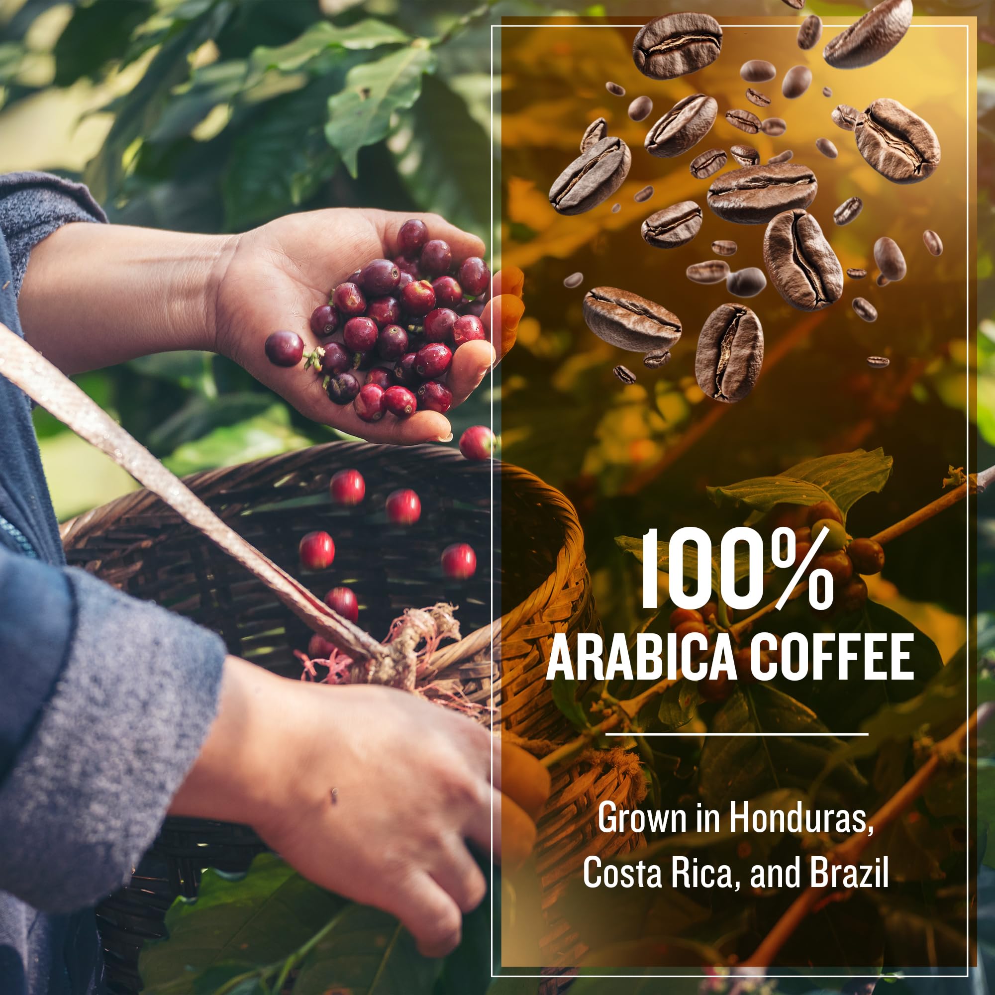 Coffee Masters Coffee Beans 1kg Exclusive Master Blend - 100% Arabica, Medium Dark Roasted Whole Bean Ideal for Espresso Machines