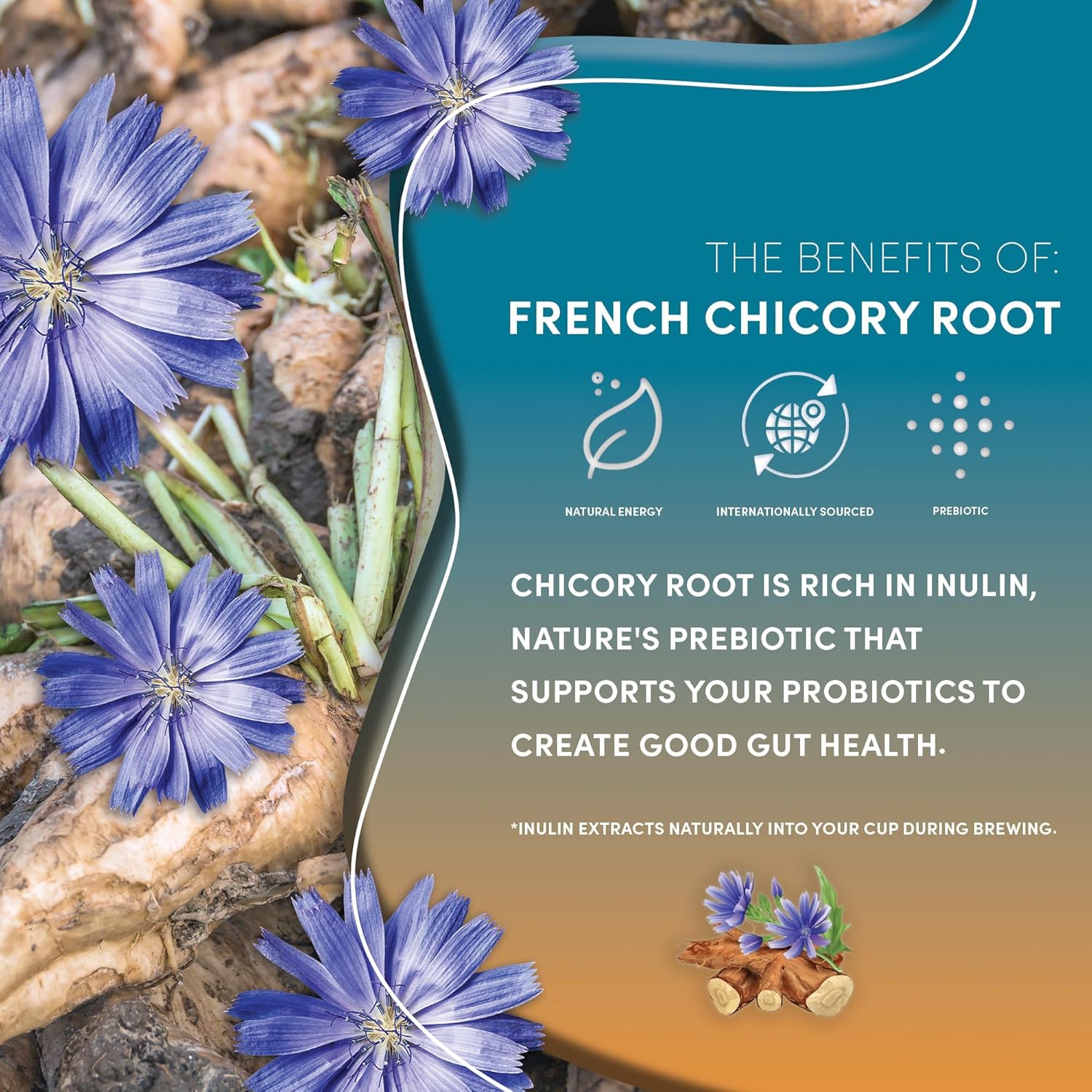 Teeccino Dandelion Caramel Nut Herbal Tea - Caffeine Free, Roasted with Prebiotics, 3x More Herbs than Regular Tea Bags, Gluten Free - 25 Bags