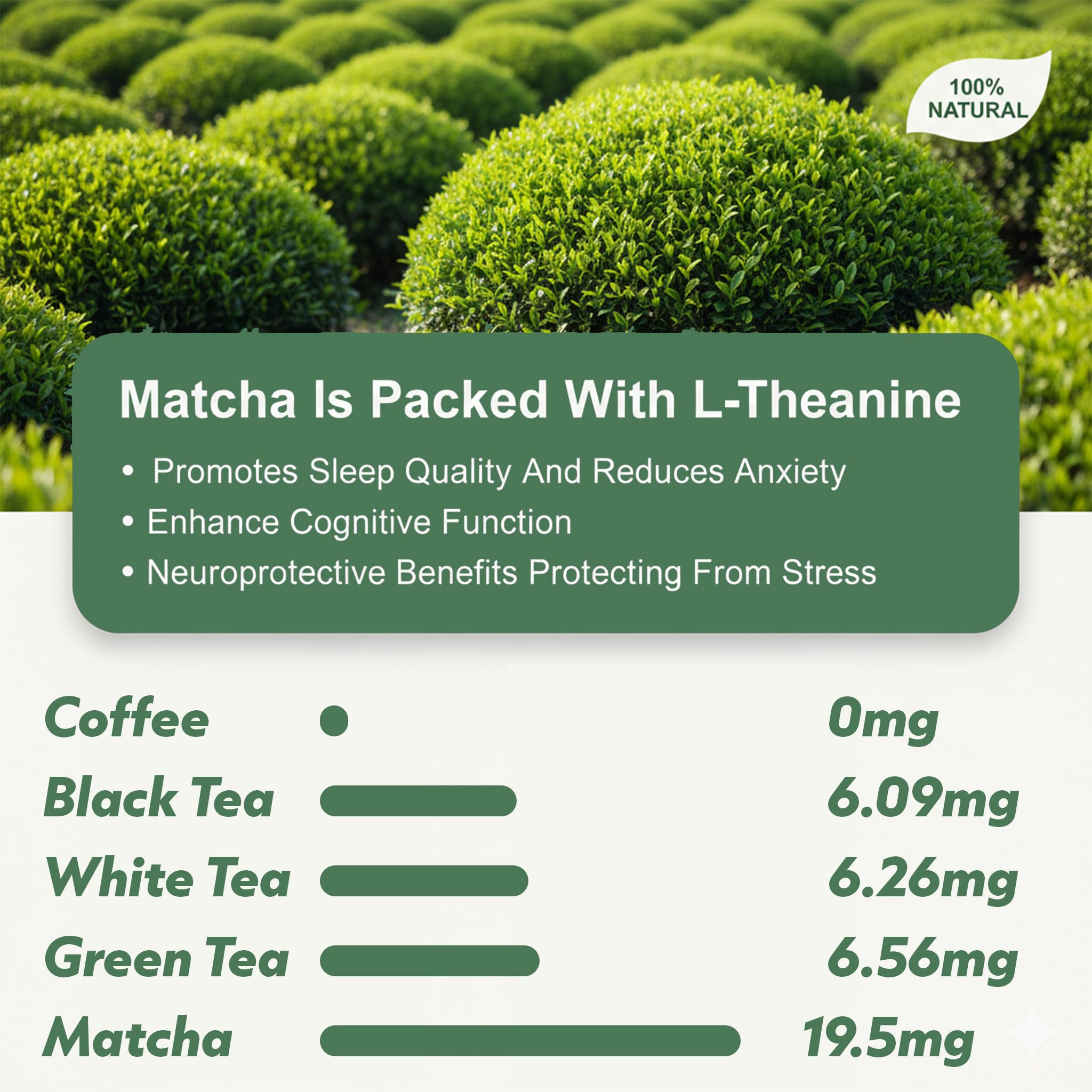 Matchaeco 2 x 50g [100g] Japanese Matcha Green Tea Powder |Authentic Stone Ground Ceremonial Grade From Japan | Natural Energy | Recyclable Jar | Vegan Baking Gift Ideas | Coffee Alternative