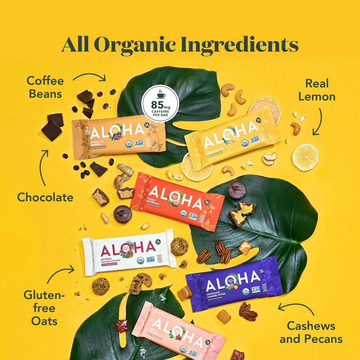 ALOHA Organic Plant Based Protein Bars |Peanut Butter Chocolate Chip | 1.98 Oz (Pack of 12) | Vegan, Low Sugar, Gluten Free, Paleo, Low Carb, Non-GMO, Stevia Free, Soy Free, No Sugar Alcohols