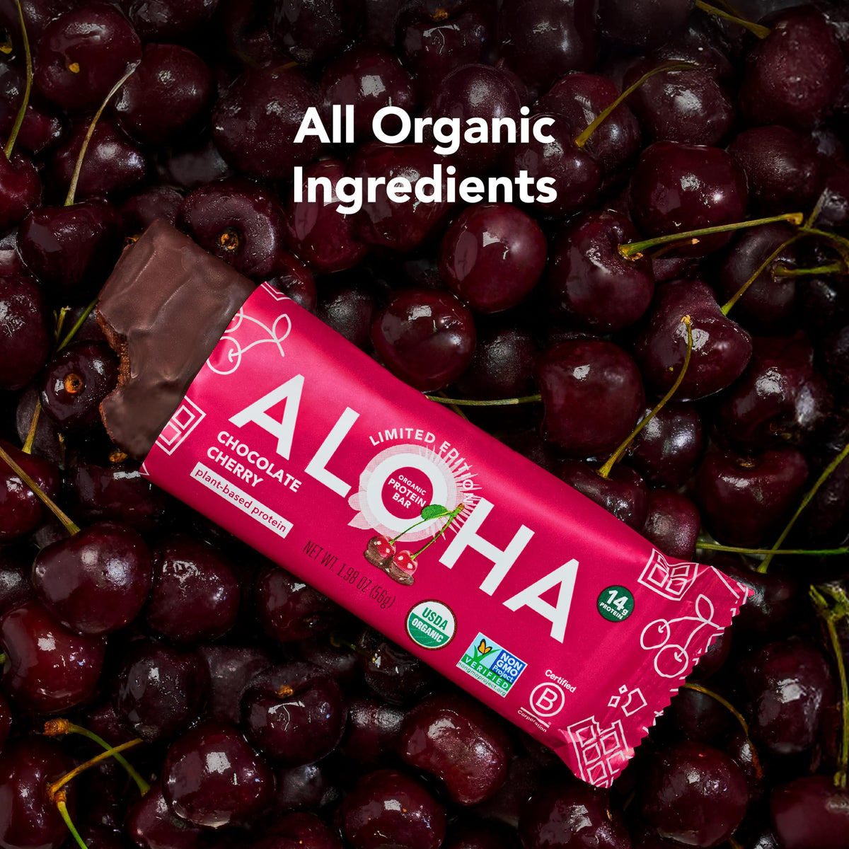 ALOHA Organic Plant Based Protein Bars |Peanut Butter Chocolate Chip | 1.98 Oz (Pack of 12) | Vegan, Low Sugar, Gluten Free, Paleo, Low Carb, Non-GMO, Stevia Free, Soy Free, No Sugar Alcohols