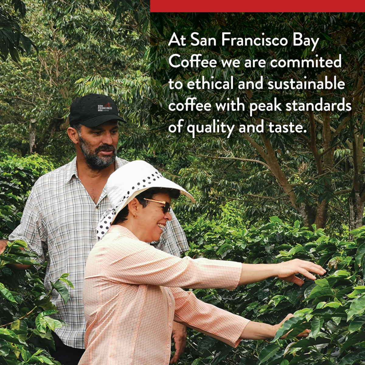 SAN FRANCISCO BAY SF Coffee OneCUP /Dark Roast Compostable Coffee Pods, K Cup Compatible Including Keurig 2.0 (Packaging May Vary), French Roast, 80 Count (Pack of 1)